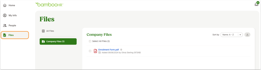 Files