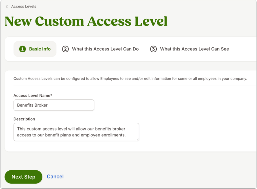 New Custom Access Level