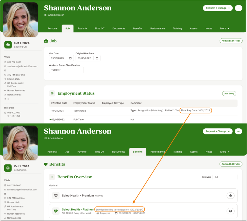 Shannon Anderson - Job