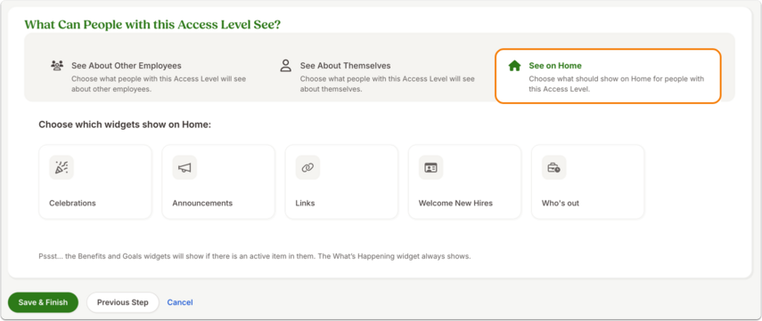 New Custom Access Level